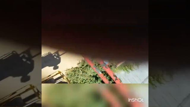 Прыжки с качелей смотреть онлайн