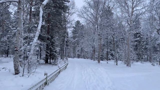 Полярная ночь | Мурманская область, Мончегорск | Городской парк смотреть онлайн