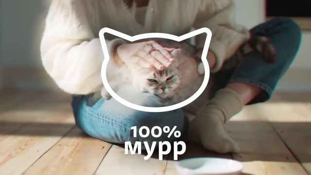 Новый, самый вкусный Whiskas. смотреть онлайн