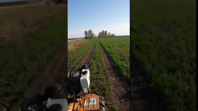 Съездили на дизельном мотоблоке за песком смотреть онлайн