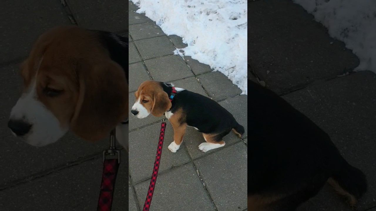 когда-ты ещё маленькая и первый раз на улице смотреть онлайн