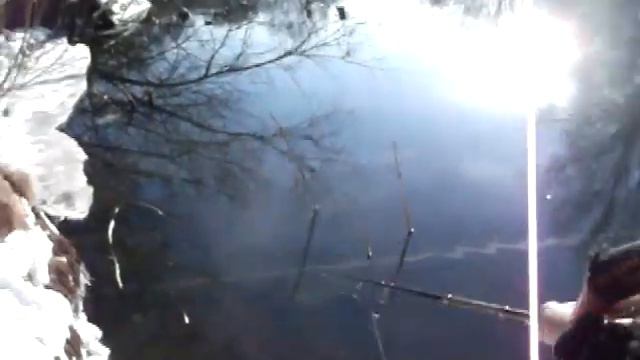 Отчет за 31.01.2015. Первая рыбалка с Black Hole Bassmania 602ML смотреть онлайн