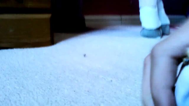 Quest to find water part 2 смотреть онлайн