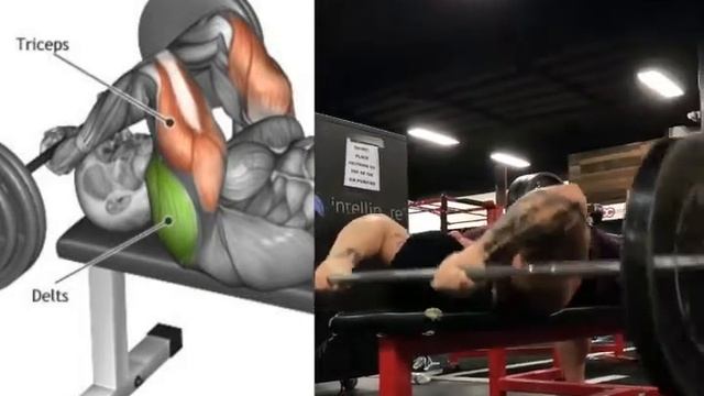 Тренировка на трицепс | Triceps Workout