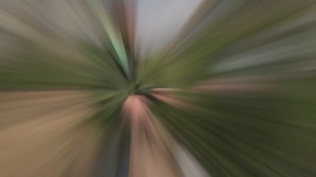 Туя . Как сажать туи