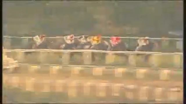 Dashmesh bred Malpensa mows them down in the stretch to win the Calcutta 2000 Guineas Gr.2 смотреть онлайн