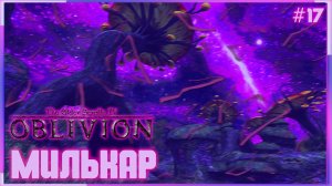 TES IV Oblivion на 100% #17: Милькар (Подробное прохождение).