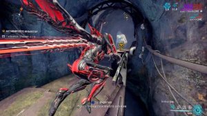 Warframe Найдите несколько тайников. взяв с собой питомца.