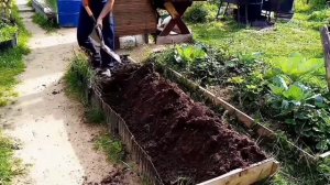 Грядка для клубники. Удобрение клубники. Посадка клубники.