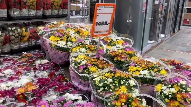 OBI УТОПАЕТ В ЦВЕТАХ 8 МАРТА 2022 ???? смотреть онлайн