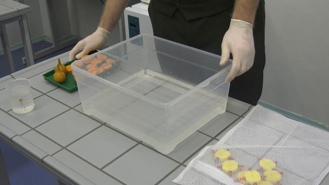 25 января 2018. Просто о сложном "Резус-конфликт" Горбатко В.А. смотреть онлайн