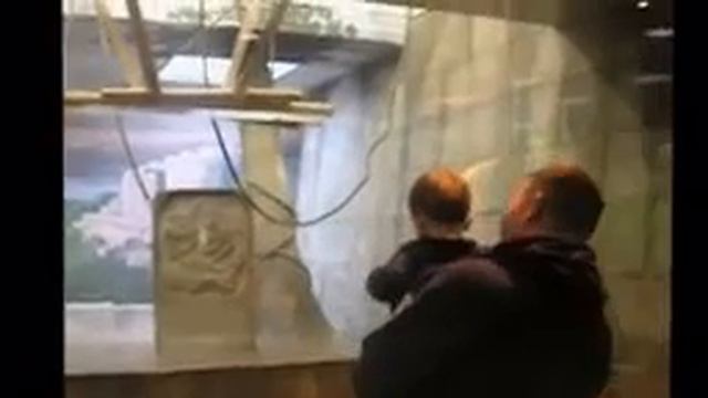 Прикольное видео с детьми и животными Зоопарк смотреть онлайн