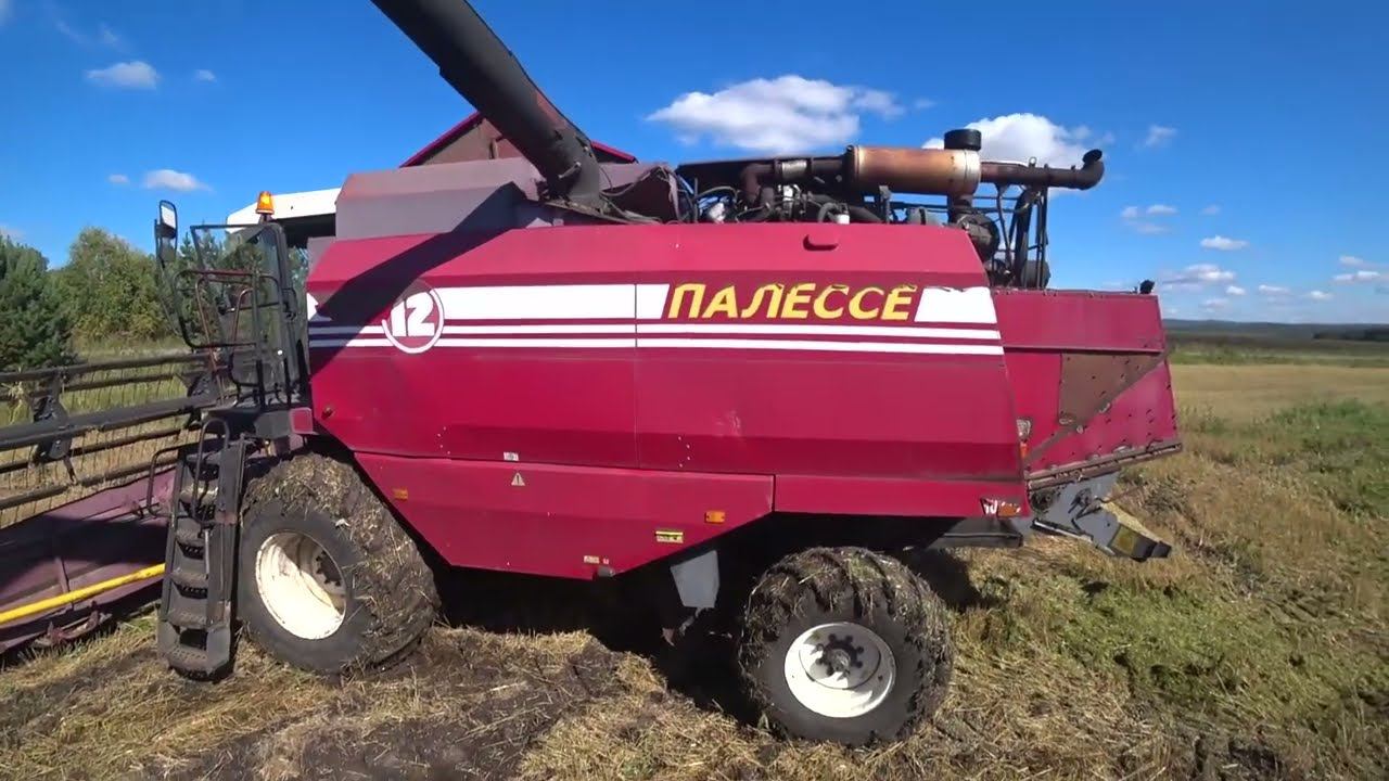 Комбайны Палессе GS-12 и Енисей 950 на уборочной 2022. Вывожу зерно на Камазе! Уборка овса. смотреть онлайн
