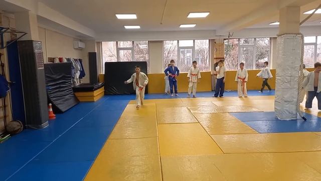 дзюдо. спортивный путь гибкий путь смотреть онлайн