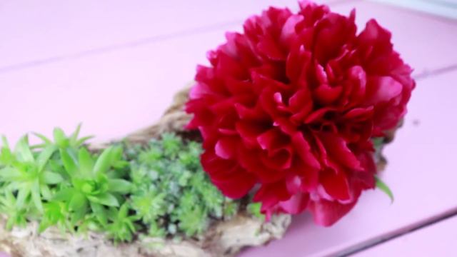 DIY-DEKO mit SUKKULENTEN & GARTENRUNDGANG - BLUMENFARM TOUR смотреть онлайн