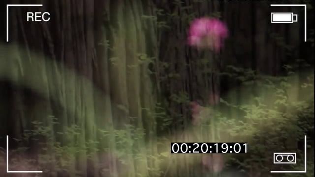 Экологическая проблема как глобальная проблема современности смотреть онлайн