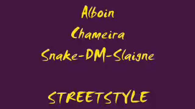 Party Disco Musik / Sound - Snake-DM-Slaigne, Chameira & Alboin - Digga Dick смотреть онлайн