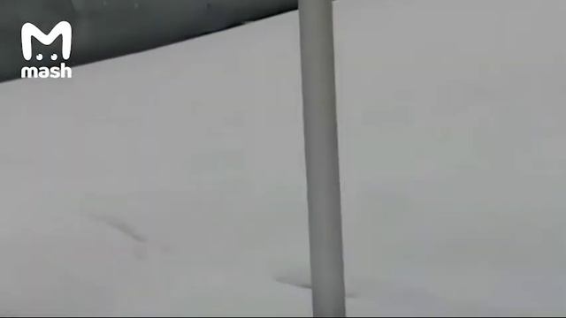 Мужик бежит от медведя в городе смотреть онлайн