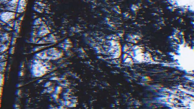Они приехали не в то место «Темное озеро» !ИтОг¿ часть 2ая#mistico#paranormal#2022 смотреть онлайн