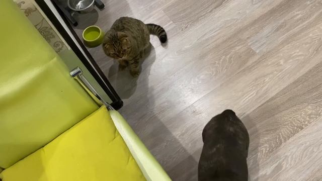 у МАСИ и МИТИ за ЧАС начинаются ДВИЖУХИ и ПОПРОШАЙНИЧЕСТВО смотреть онлайн