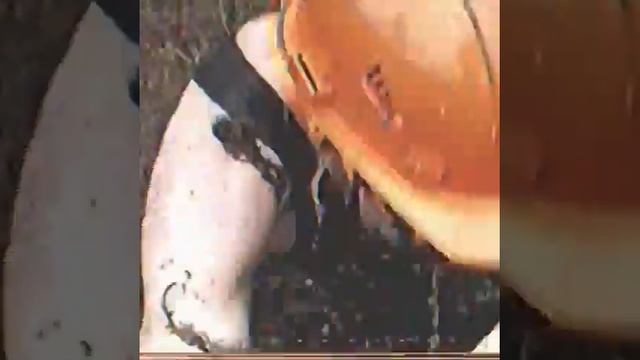 Под грибами смотреть онлайн