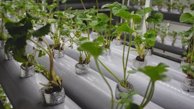 Томск на START. Проект компании 