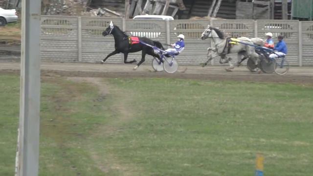 3 Приз Весенний Для лошадей орловской рысистой породы старшего возраста, 1600 м смотреть онлайн