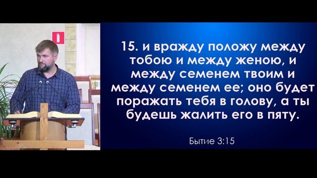 Вечернее богослужение 1 декабря 2023 г. смотреть онлайн