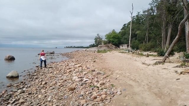 Коса природного заказника «Западный Котлин» смотреть онлайн