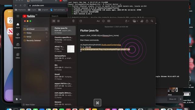 Flutter: Unable to find bundled java version смотреть онлайн