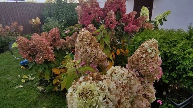 Цветочная терапия немного о себе и людях вокруг ❤️❤️❤️??? смотреть онлайн