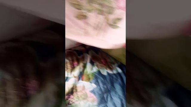 Строим домик из подушек и простыни||OW|| смотреть онлайн