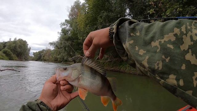 СПИННИНГ НА ПРЕДЕЛЕ! Осенняя рыбалка, джиг на Иртыше 2020 Казахстан смотреть онлайн