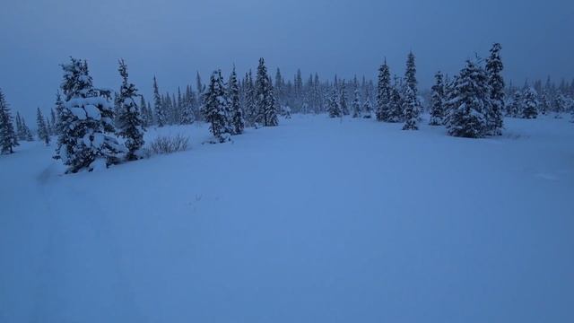 Жизнь в тайге. Прогулка по зимнему лесу. Глухари вылетают из под ног. Готовка еды в казане на костр смотреть онлайн