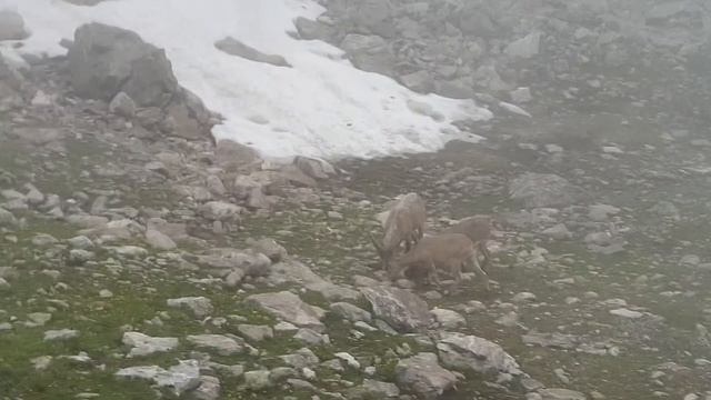 Поездка в Архыз июль 2019(25) смотреть онлайн