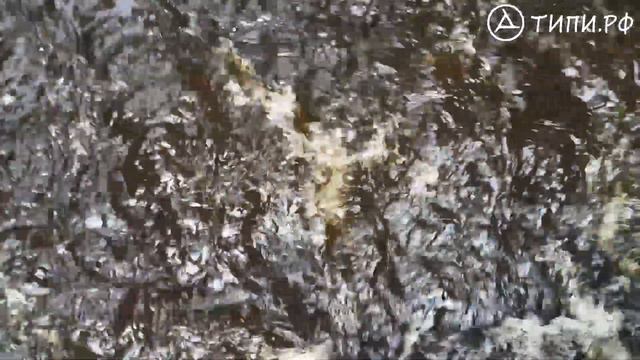 А между тем в Лесу.05 - В реке поднялась вода смотреть онлайн