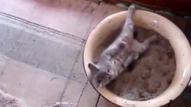 Зато пописал смотреть онлайн