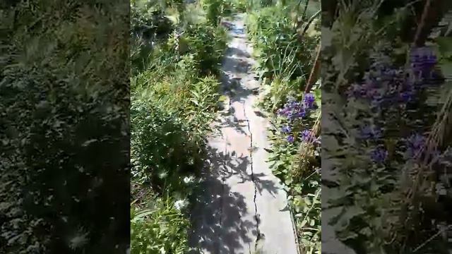 V00610 085004 Дача 2020.06.10 смотреть онлайн