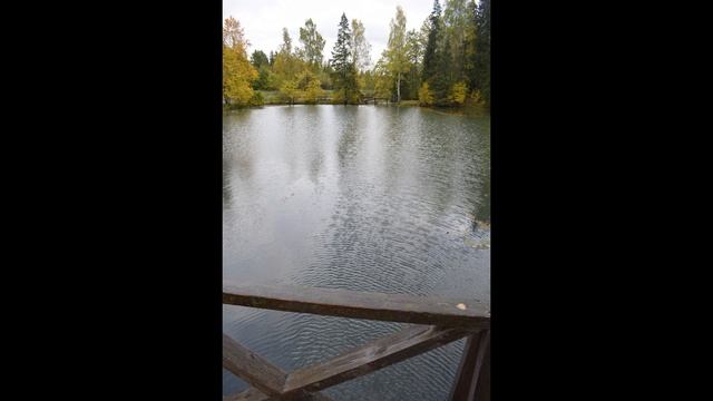 Абрамцево фото часть 4