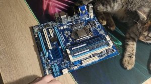 РЕШЕНО! Компьютер зависает на заставке BIOS с новой видеокартой!