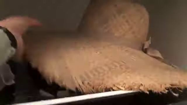 Разные органайзеры смотреть онлайн