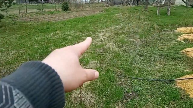 Планы на будущее, моя система капельного полива смотреть онлайн