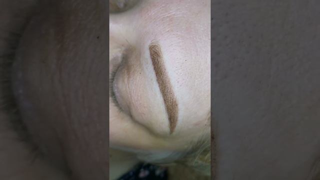 ?Напыление бровей #татуаж #перманентныймакияж #брови ?запись: http://vk.com/id156153038 смотреть онлайн