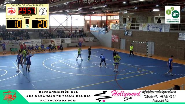 ARS NARANJAS DE PALMA DEL RÍO VS BALONMANO ZAMORA RUTAS DEL VINO #DHPLATAMASC смотреть онлайн