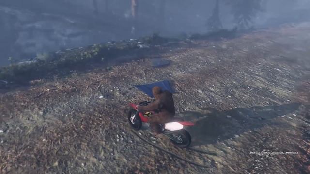 7 ЗОЛОТЫХ ЛОФОФОР В GTA 5 смотреть онлайн