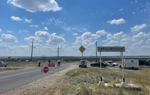 Вспышка африканской чумы свиней на Ставрополье: хроники карантина