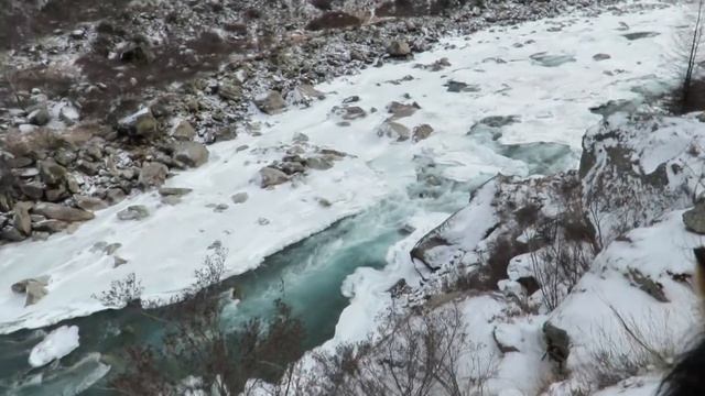 Снежный барс - ирбис. Алтай. Сибирские горные козлы, сибирская кабарга. Река Аргут. Altai. Siberia смотреть онлайн