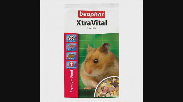 ТОП 10 КОРМОВ ДЛЯ ПЕСЧАНОК | КАКОЙ КОРМ ВЫБРАТЬ? | Aoi Inko смотреть онлайн