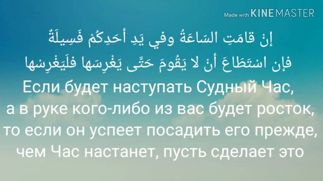 Что делать до появления Имама Махди и Даджаля (ХАДИС) часть 2 смотреть онлайн