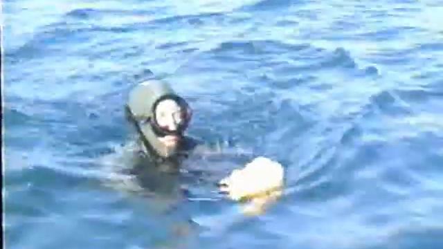 Подводная охота в Средиземном море. Pesca Subacquea Nel Mediterraneo Con Michel Reboul смотреть онлайн